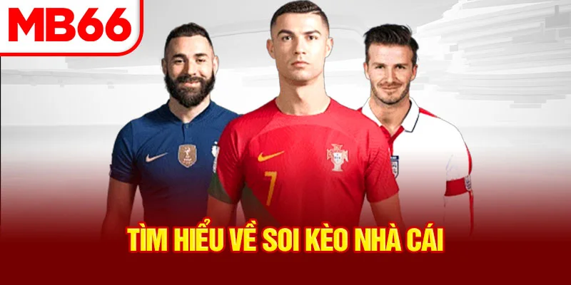 tim-hieu-ve-soi-keo-nha-cai